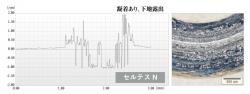 セルテスN：凝着あり、下地露出