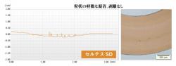 セルテスSD：粒状の軽微な凝着、剥離なし