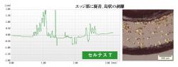 セルテスT：エッジ部に凝着、島状の剥離